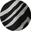Зебра